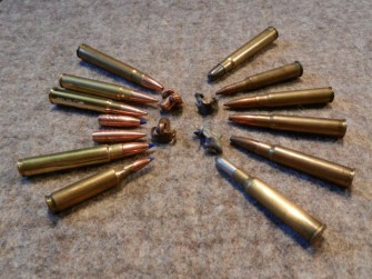 Grüne: Regierung verzögert bleifreie Munition