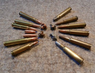 Grüne: Regierung verzögert bleifreie Munition