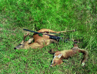 Grosse Kugel, kleine Kugel