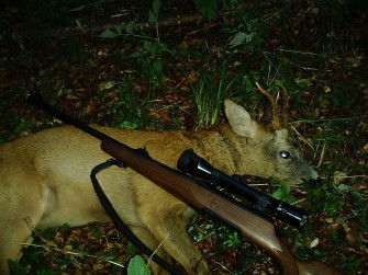 Bleifrei in Baden-Württemberg für alle Jäger ab 2016