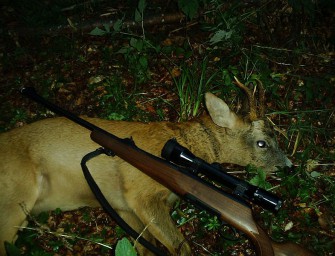 Bleifrei in Baden-Württemberg für alle Jäger ab 2016