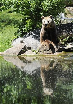 branunbrgettybarbarasax.jpg