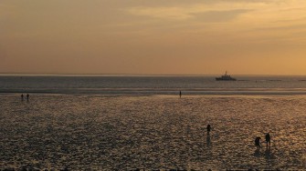 Jagdlich Sachverständige sollen keine Jäger sein