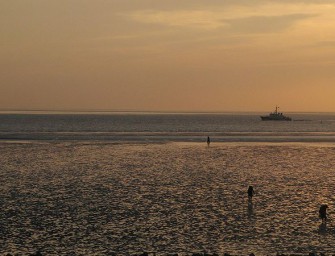 Jagdlich Sachverständige sollen keine Jäger sein