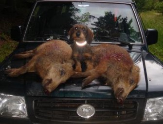 Bund der Steuerzahler fordert Abschaffung von „Bagatellsteuer“