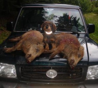 Bund der Steuerzahler fordert Abschaffung von „Bagatellsteuer“