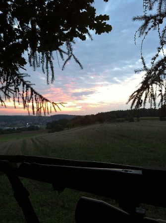 Petition PROWild in Rheinland-Pfalz