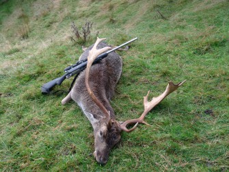DJV: Strassburger Urteil stellt Reviersystem nicht in Frage