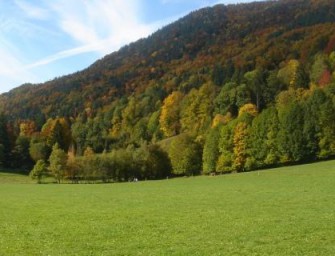 Das Forsthaus als Kunstobjekt