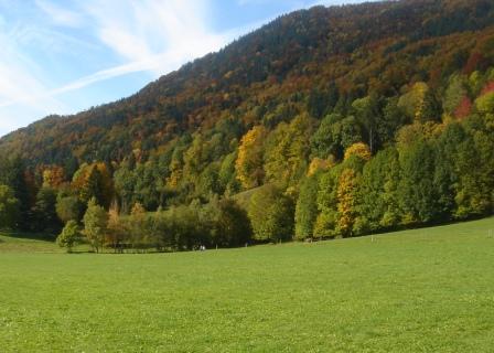 deutscherwald.jpg