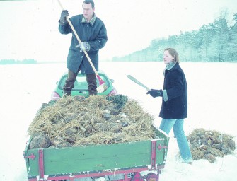 Wild richtig füttern