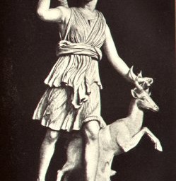 Landesjagdverband NRW präsentiert aktuelle Zahlen – Deutschland hat eine steigende Anzahl an Waidfrauen