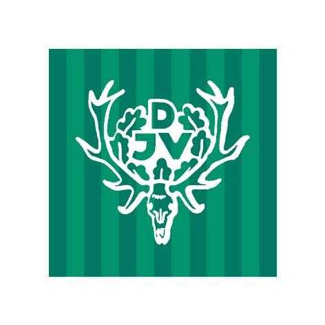 djv_logo1.jpg