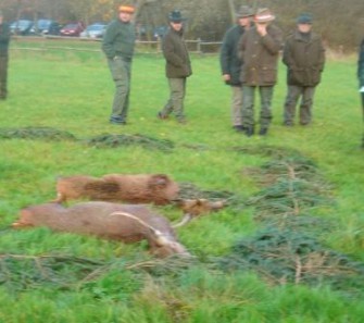 Jagdgemeinschaft stellt Strafanzeige nach Drückjagd