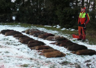 Strafanzeige wegen Drückjagd