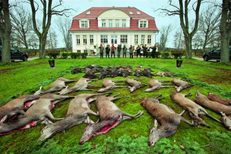 Mittendrin statt nicht dabei