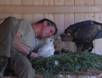 Oberfranken: Jungadler vergiftet!