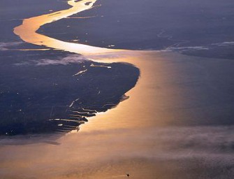 Elbvertiefung bedroht Jagd