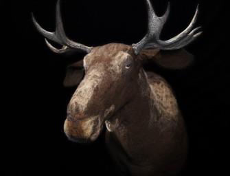 DaWanda  Selbermachen liegt im Trend