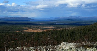 Norwegen diskutiert Rücknahme von Beifrei-Vorschrift