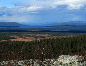 Norwegen diskutiert Rücknahme von Beifrei-Vorschrift