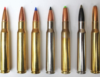 Bund stoppt Verbot bleihaltiger Munition