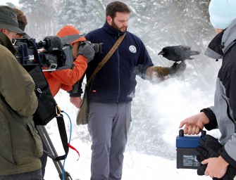 TV-Tipp: „Schliemanns Erben“ mit Rabendame „Renate“ am 5.+12. April