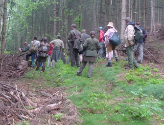 „Eulenjagen“ lohnt sich