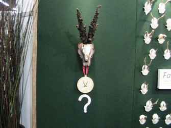 Jagdreisen fair – „FAIR HUNT“