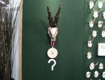 Jagdreisen fair – „FAIR HUNT“