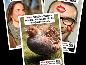 Fakten statt Vorurteile