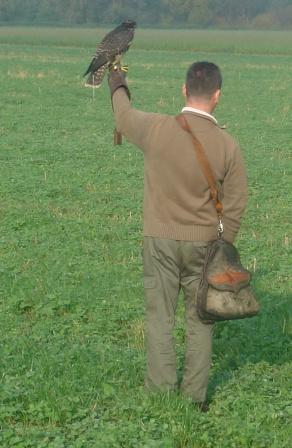 falkenherbst.jpg