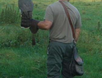 Bremervörde – Greifvögel in Aktion