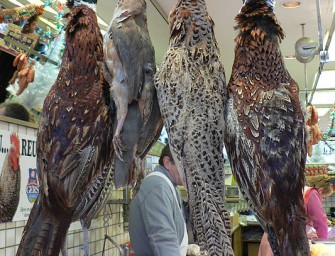 10. Dithmarscher Wildwochen