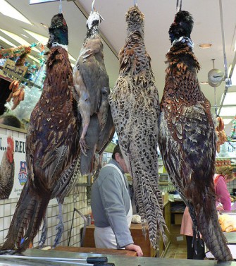 10. Dithmarscher Wildwochen