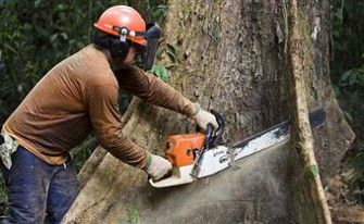 Österreich: 126 Motorsägen geklaut.