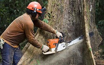 Österreich: 126 Motorsägen geklaut.