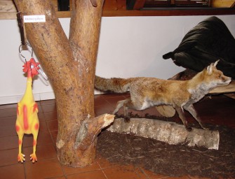 Sonderausstellung „Gerüstet zur Jagd  Alles was der Jäger braucht“