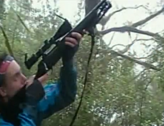 Video illegale Maori-Fruchttauben-Jagd in Neuseeland