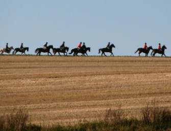 Mit Pferd und Hund ins Guinness-Buch