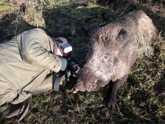 Fotowettbewerb des LJV Rheinland-Pfalz 2012