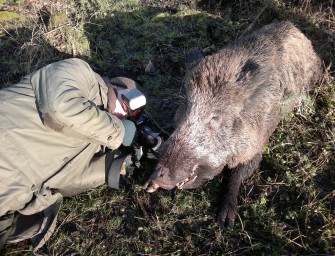 Fotowettbewerb des LJV Rheinland-Pfalz 2012