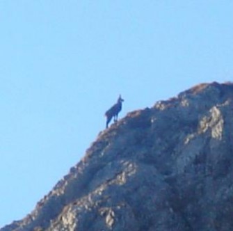 Bundesjägertag 2009 in Berchtesgaden