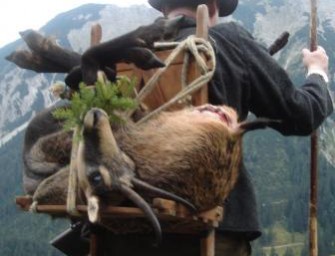 Schweizerische Rettungsflugwacht rettet Gamsjäger