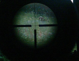 Rheinland – Pfälzer Entwurf für neue Jagdzeiten