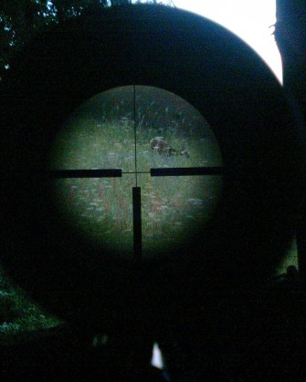 Rheinland – Pfälzer Entwurf für neue Jagdzeiten