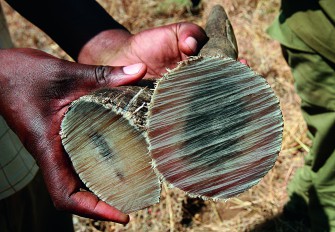 Festnahme: Kauf eines Nashorn-Horns geplatzt