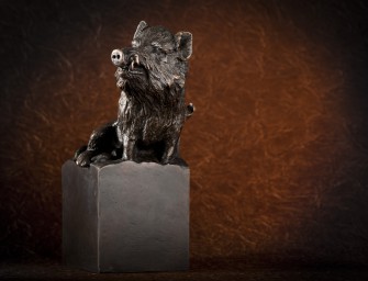 Goldener Keiler 2012: Abstimmen und gewinnen!