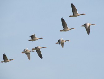 Sanfte Worte in Bergen