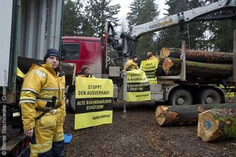 Kampf um bayerische Bäume